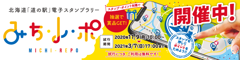 みちレポ