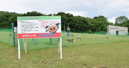 サロマ湖ドッグラン2