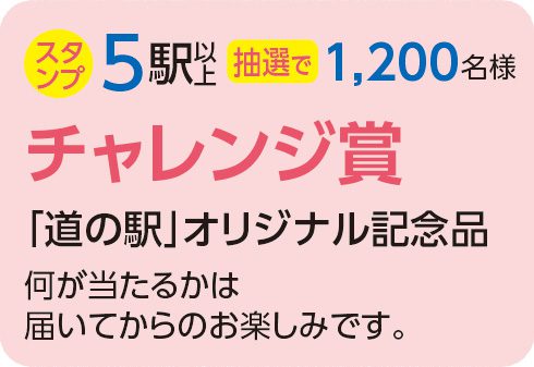 チャレンジ賞