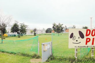 真狩フラワーセンタードッグラン