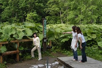足寄湖見どころ2