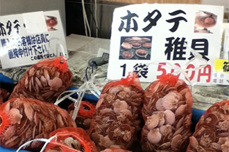 とようらインフォ2