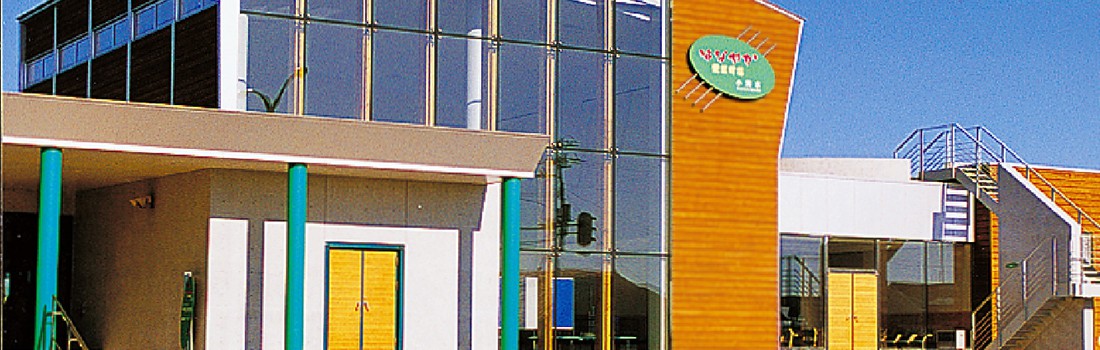 はなやか（葉菜野花）小清水大