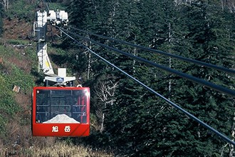 ひがしかわ「道草館」見どころ1