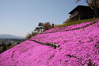 みそぎの郷きこない見どころ2
