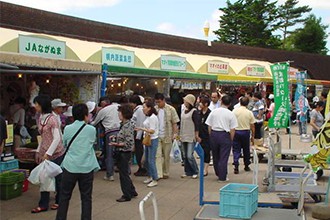 マオイの丘公園インフォ2