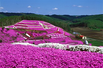 メルヘンの丘めまんべつ見どころ5