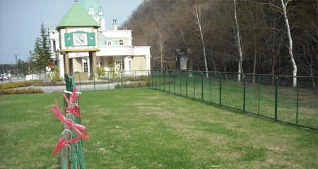 たきのうえドッグラン1