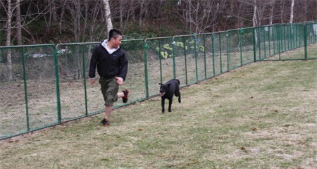 たきのうえドッグラン2