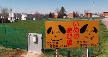 真狩ドッグラン1