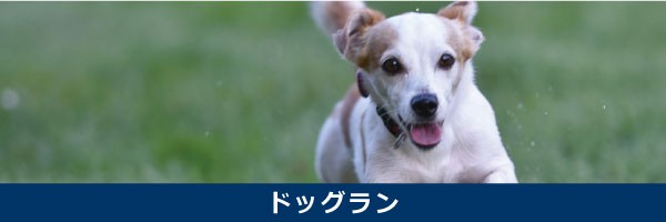 ドッグランバナー