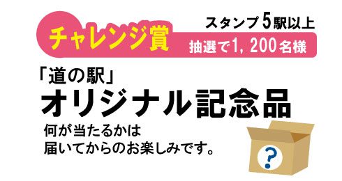 チャレンジ賞