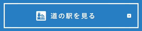 道の駅を見る